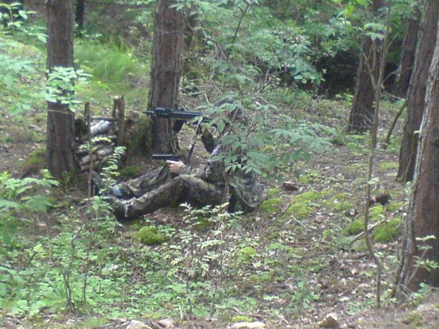 DSC00333.JPG